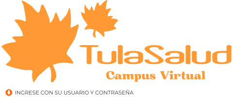 Campus Virtual de TulaSalud